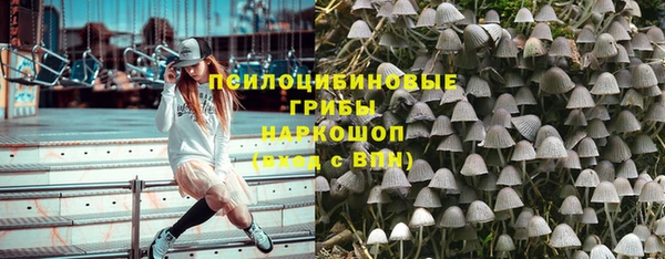 молекула духа Алексеевка