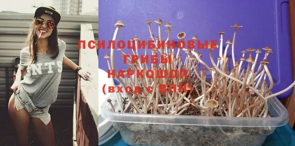 мдпв Абаза