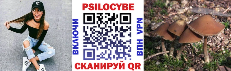 цена наркотик  Покачи  Псилоцибиновые грибы мицелий 
